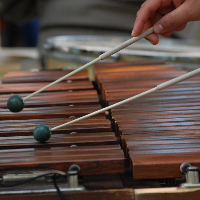 TBT Texas Marimba Rentals Hit Noteworthy Demand! Side Hustle School