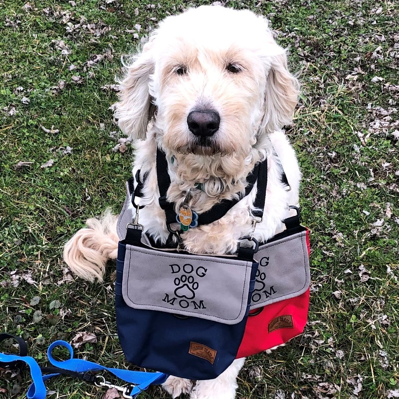 A Doggie Bag With a Twist Side Hustle School